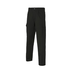 MULTI CRO. Pantalon Élasthanne